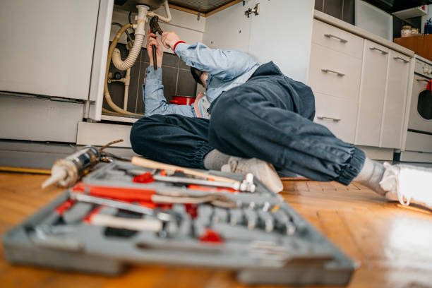 Best Clogged Drain Plumber  in Berwick, PA