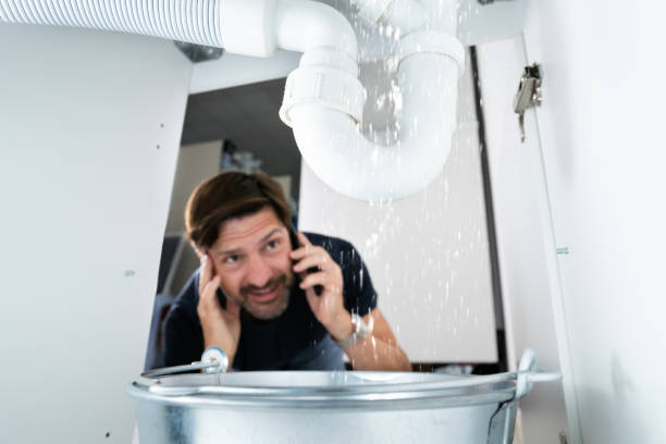 Best Same-Day Plumbing Service  in Berwick, PA
