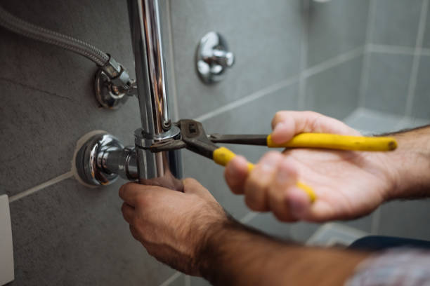 Best Plumbing Inspection Services  in Berwick, PA